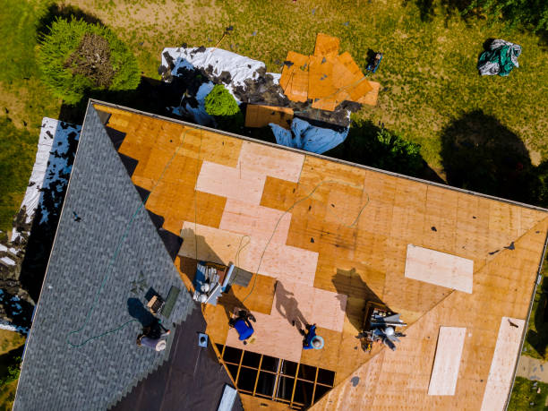 Best Roof Gutter Cleaning  in Triana, AL