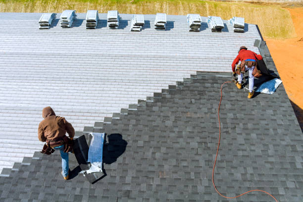 Best Metal Roofing Contractor  in Triana, AL