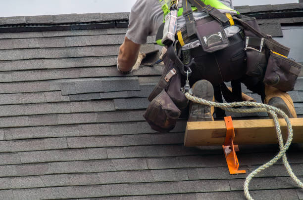 Best Storm Damage Roof Repair  in Triana, AL